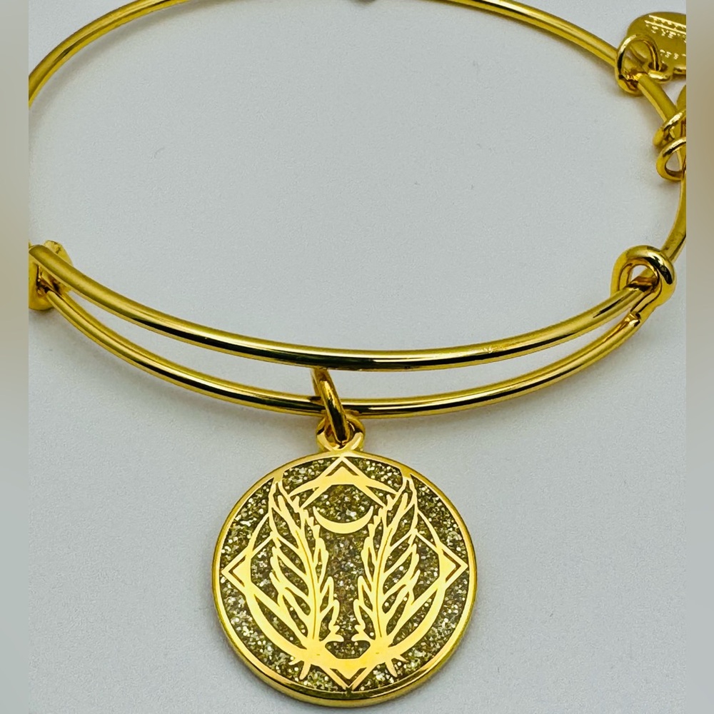 ALEX AND ANI Color Infusion Godspeed bracelet NEW